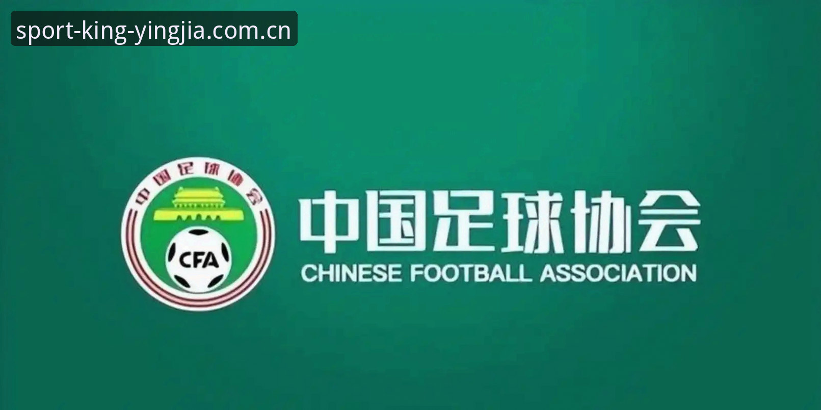中国足协第三批禁足名单最新动态:65人受罚,终身禁赛17人,五年禁赛48人